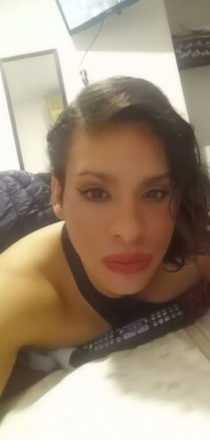 Aisha domi o hotel